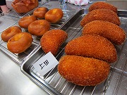 IMG_0510.jpg